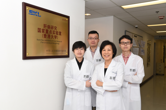 HKUMed identifies an important TIGIT-NECTIN2 immune checkpoint axis, leading into new treatment direction for liver cancer. The research team includes (front row from right): Professor Irene Ng, Chair Professor of the Department of Pathology, Loke Yew Professor in Pathology, HKUMed and Director of the State Key Laboratory of Liver Research (HKU); Dr Karen Sze Man-fong, Assistant Research Officer, Department of Pathology, HKUMed; (back row from right) Dr Tsui Yu-man, Post-doctoral Fellow and Dr Daniel Ho Wai-hung, Assistant Professor, Department of Pathology, HKUMed.